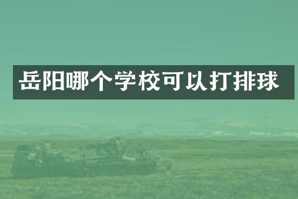 岳阳哪个学校可以打排球