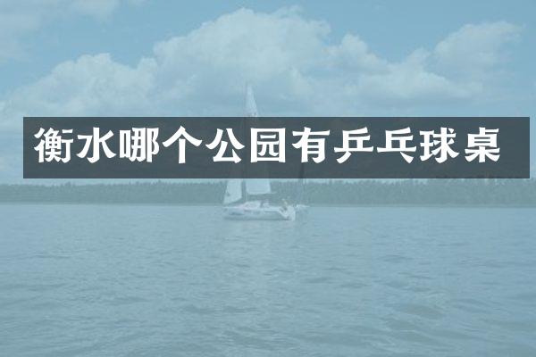 衡水哪个公园有乒乓球桌