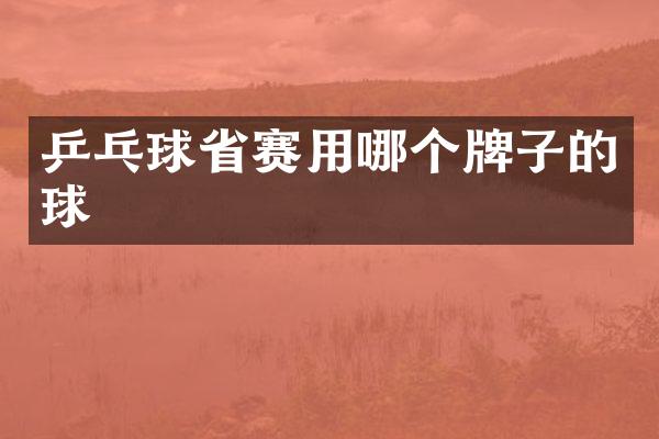 乒乓球省赛用哪个牌子的球