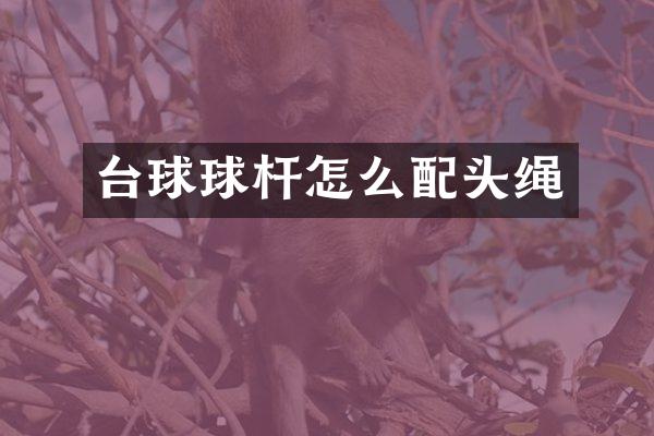 台球球杆怎么配头绳