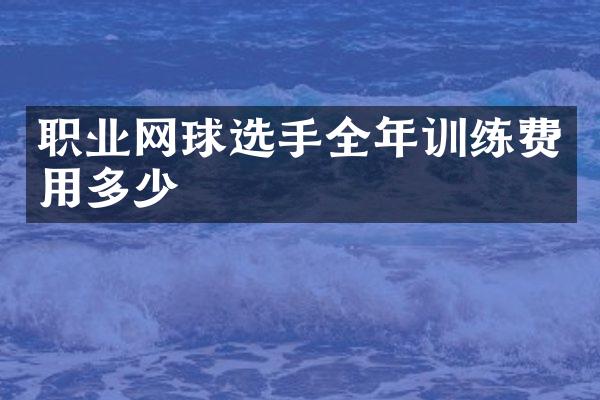 职业网球选手全年训练费用多少