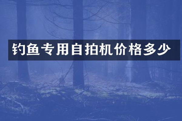 钓鱼专用机价格多少
