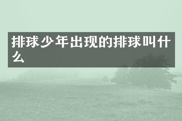 排球少年出现的排球叫什么