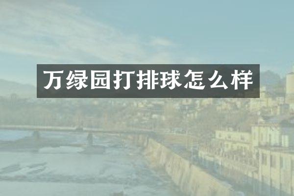 万绿园打排球怎么样