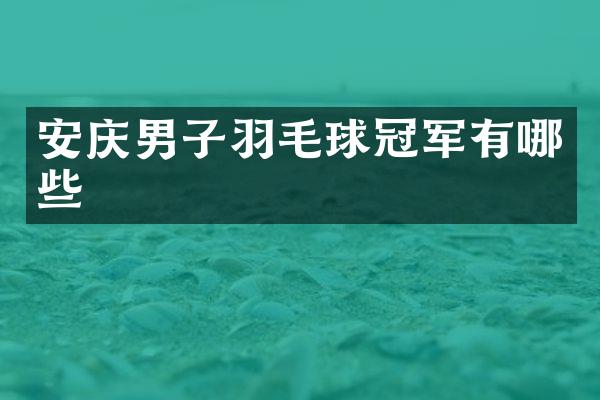 安庆男子羽毛球冠军有哪些