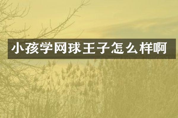 小孩学网球王子怎么样啊