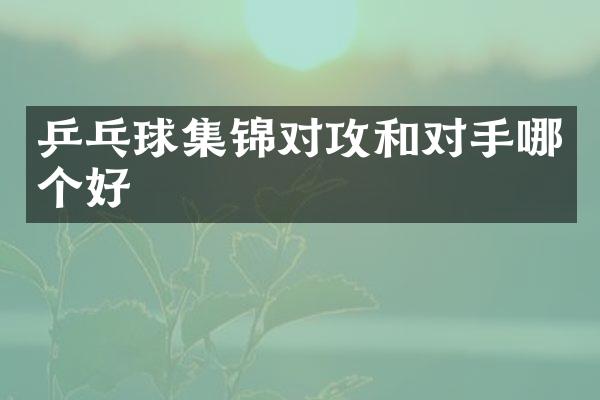 乒乓球集锦对攻和对手哪个好