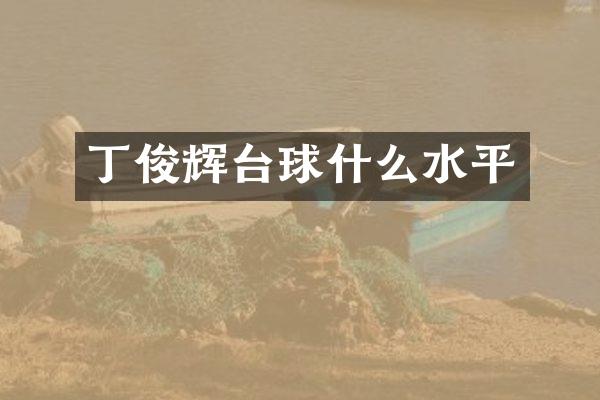 丁俊辉台球什么水平