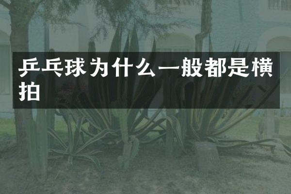 乒乓球为什么一般都是横拍