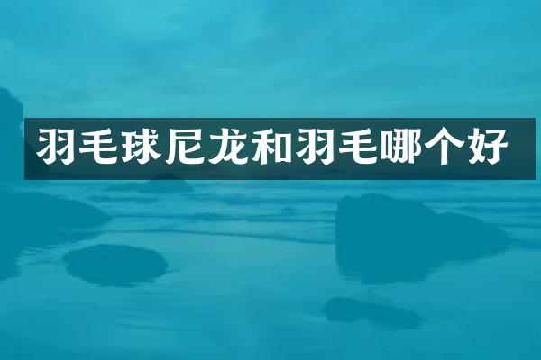羽毛球尼龙和羽毛哪个好