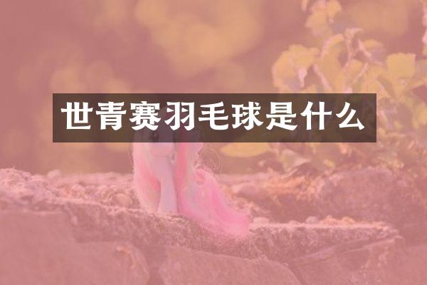世青赛羽毛球是什么