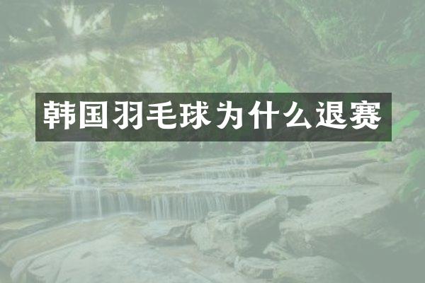 韩国羽毛球为什么退赛