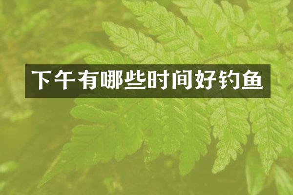 下午有哪些时间好钓鱼