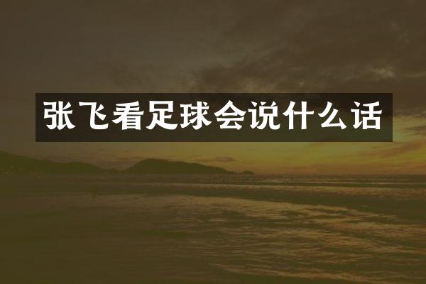 张飞看足球会说什么话