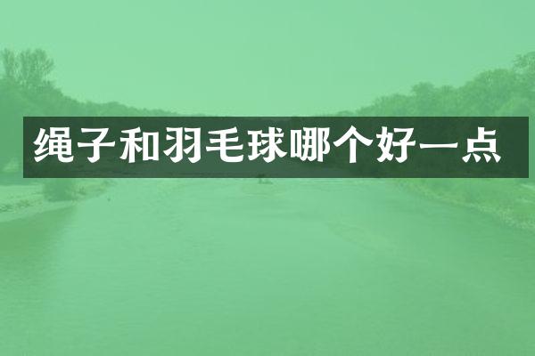 绳子和羽毛球哪个好一点