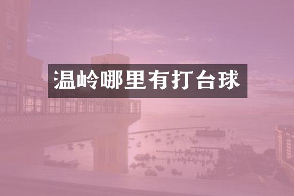 温岭哪里有打台球