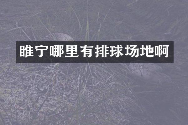睢宁哪里有排球场地啊