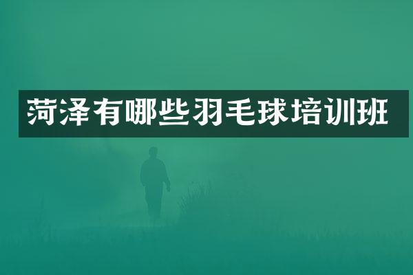 菏泽有哪些羽毛球培训班