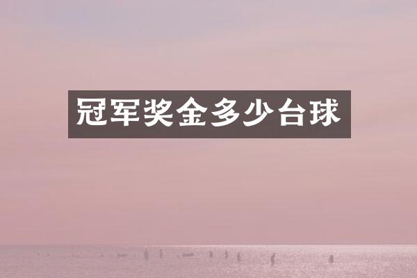 冠军奖金多少台球