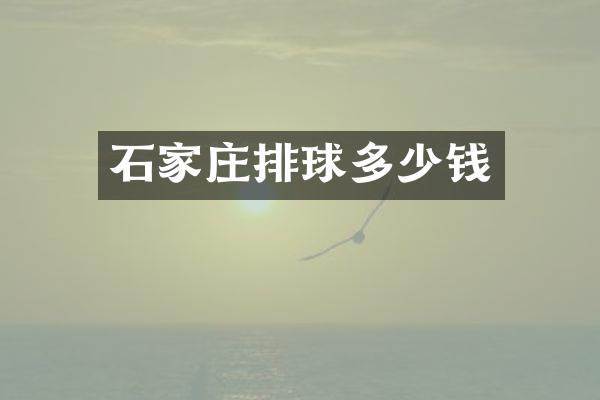 石家庄排球多少钱