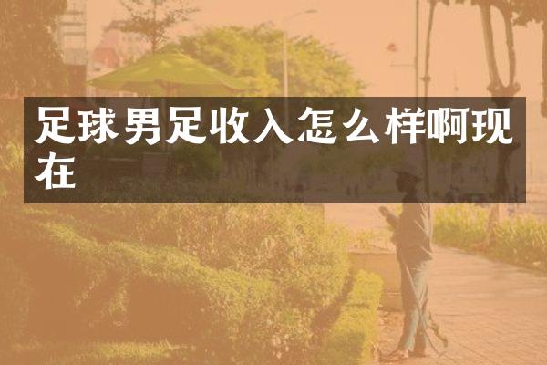 足球男足收入怎么样啊现在