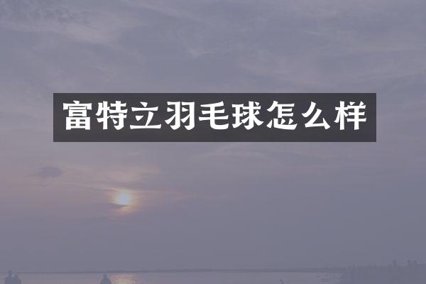 富特立羽毛球怎么样