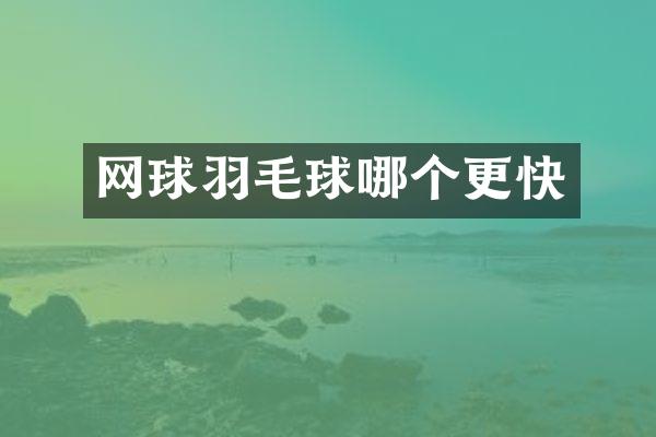 网球羽毛球哪个更快
