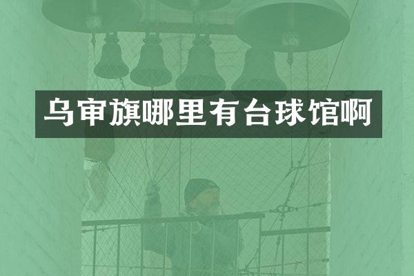 乌审旗哪里有台球馆啊