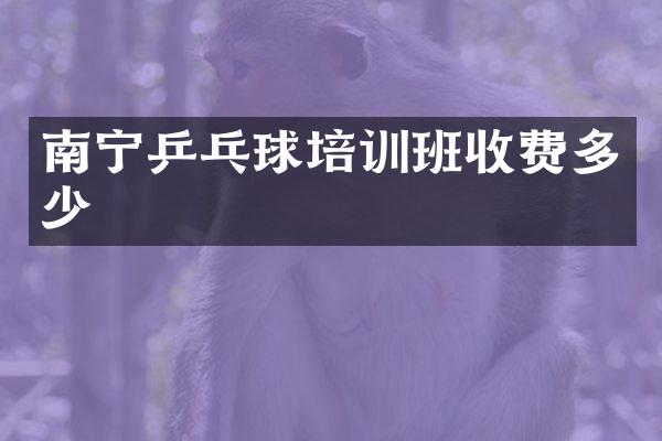 南宁乒乓球培训班收费多少
