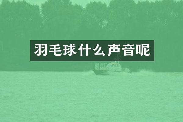 羽毛球什么声音呢