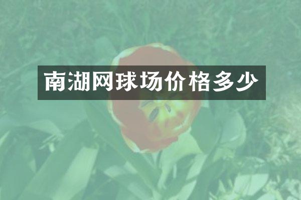 南湖网球场价格多少