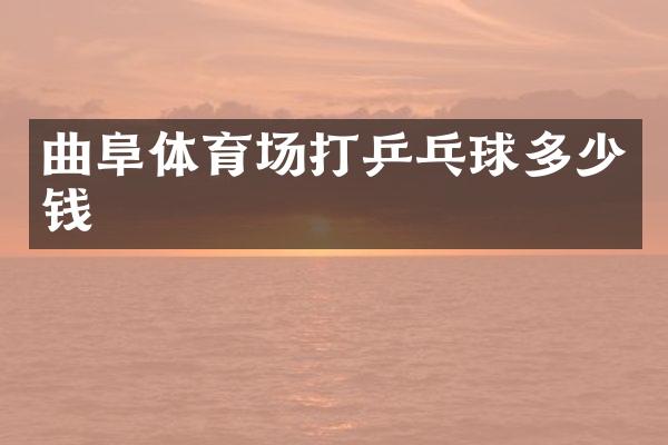 曲阜体育场打乒乓球多少钱